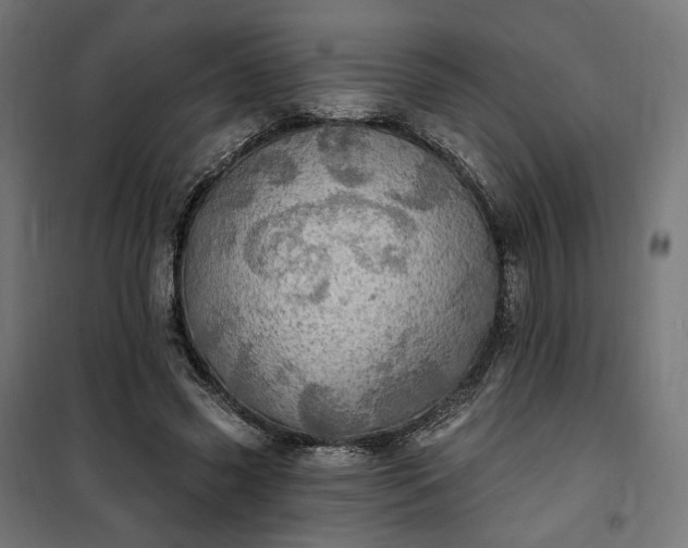 X0000100500541200806201717