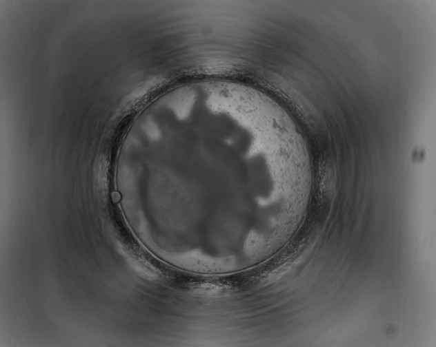 X0000100500542200806201717