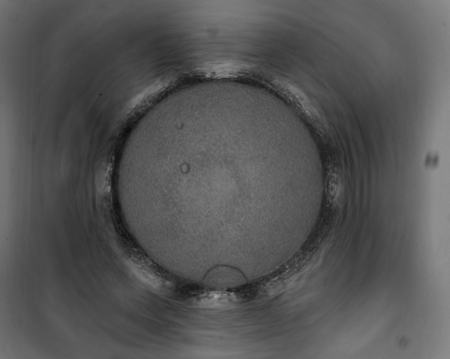 X0000100500543200806201717