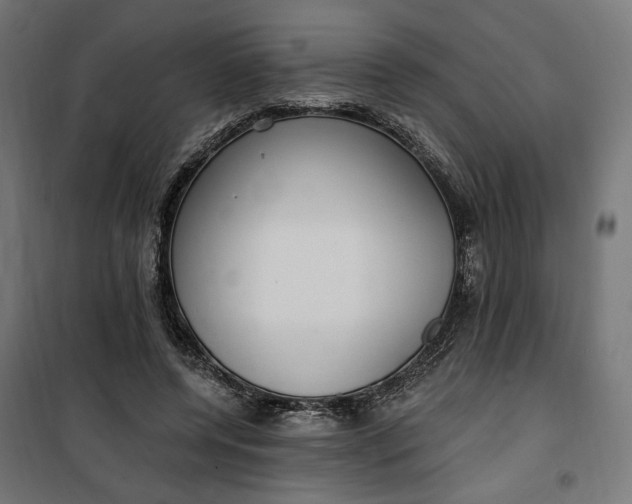 X0000100500544200806201717