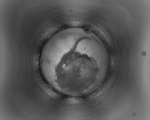 X0000100500545200806201717