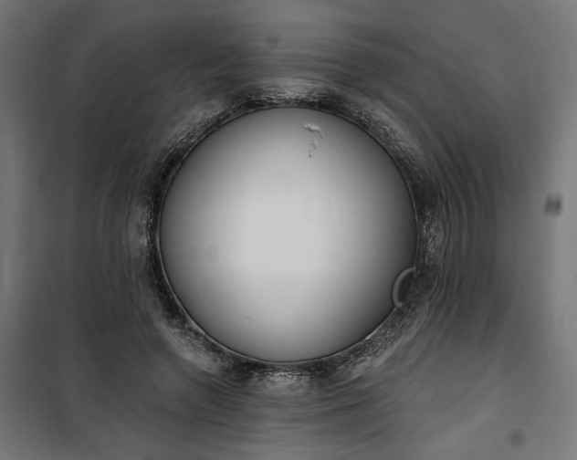 X0000100500546200806201717