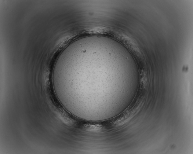 X0000100500548200806201717