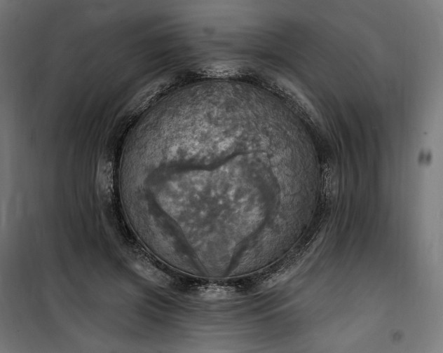 X0000100500549200806201717