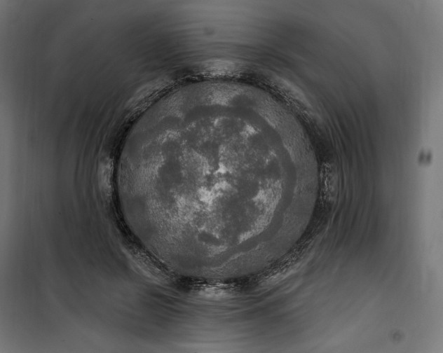 X0000100500550200806201717