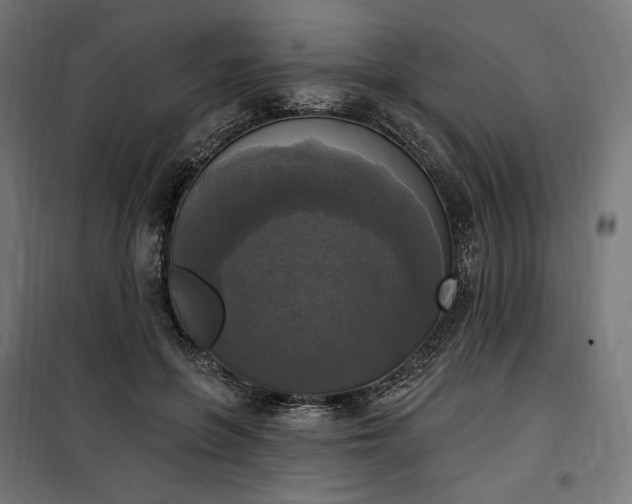 X0000100500551200806201717