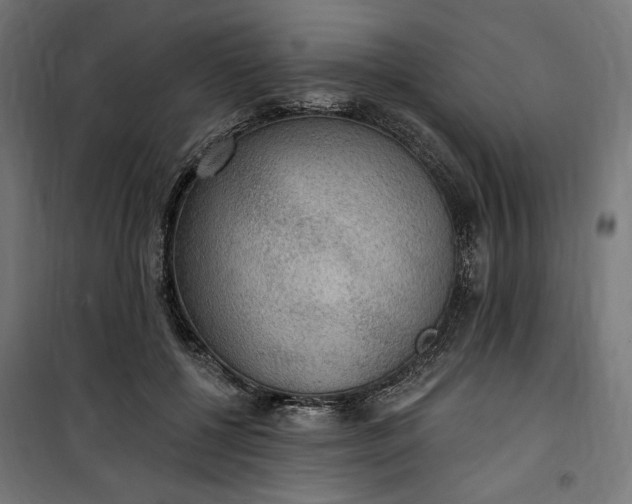 X0000100500552200806201717