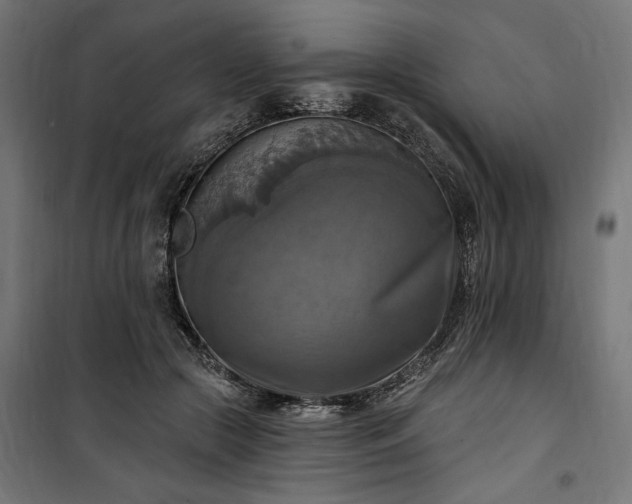 X0000100500553200806201717