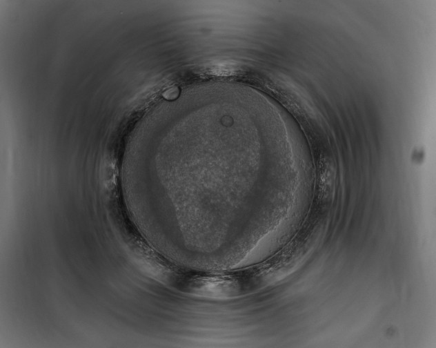 X0000100500555200806201717