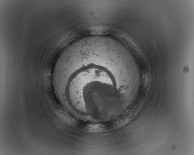 X0000100500557200806201717