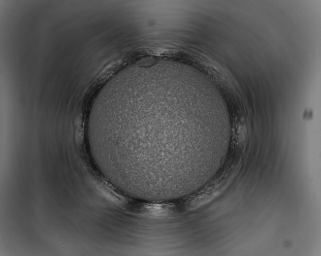 X0000100500558200806201717