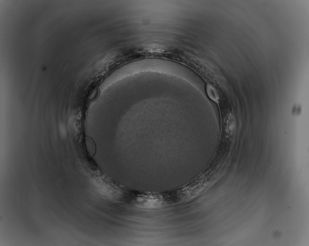 X0000100500559200806201717