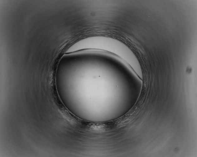 X0000100500560200806201717