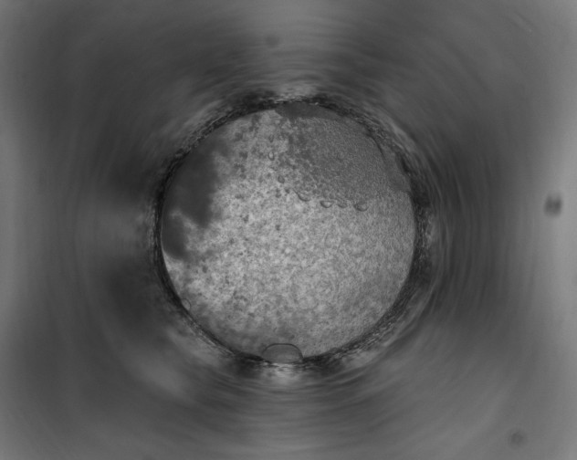 X0000100500565200806201717