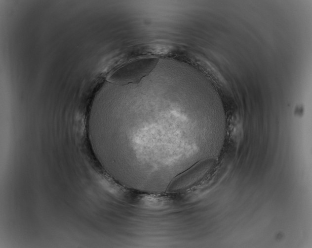 X0000100500568200806201717