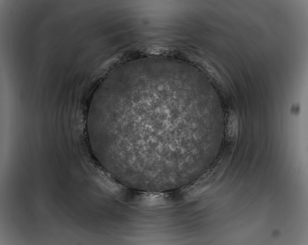 X0000100500569200806201717