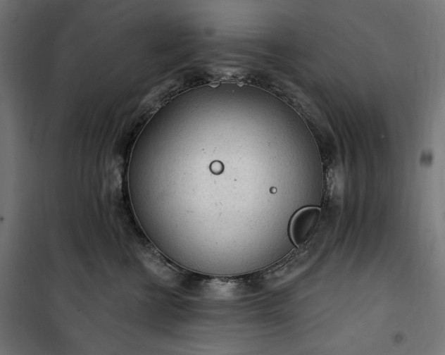 X0000100500570200806201717