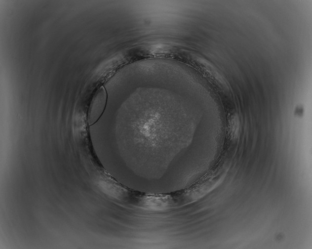 X0000100500571200806201717