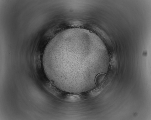 X0000100500572200806201717