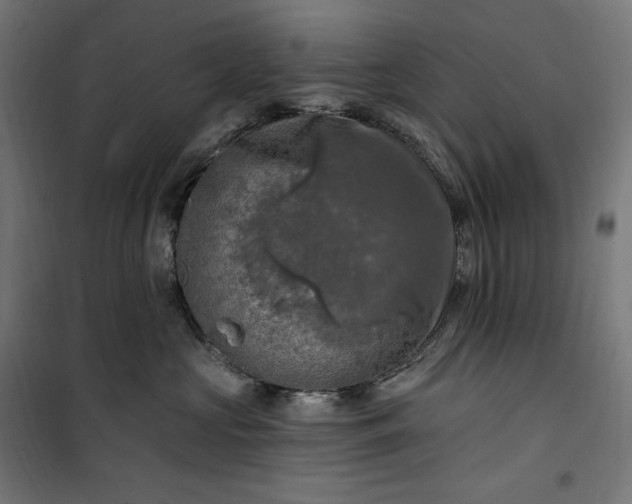 X0000100500573200806201717