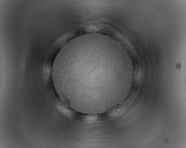 X0000100500574200806201717