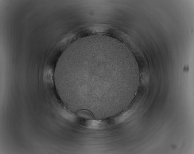 X0000100500575200806201718