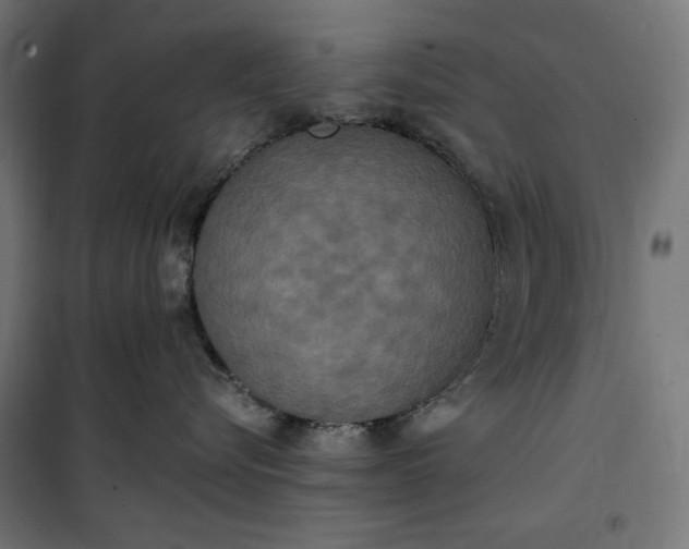 X0000100500576200806201718