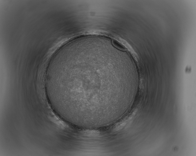 X0000100500577200806201717