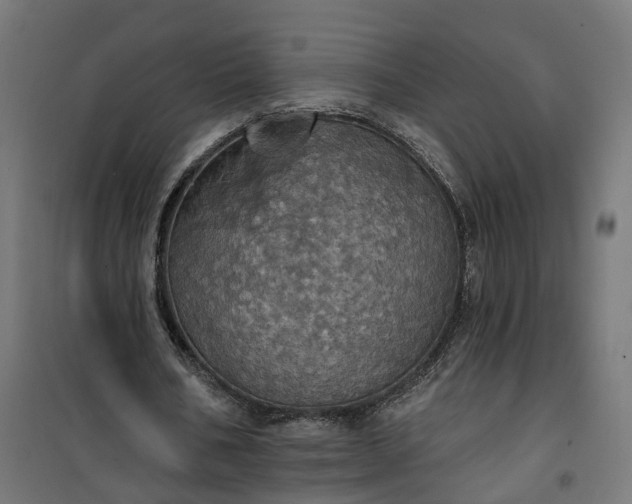 X0000100500578200806201717