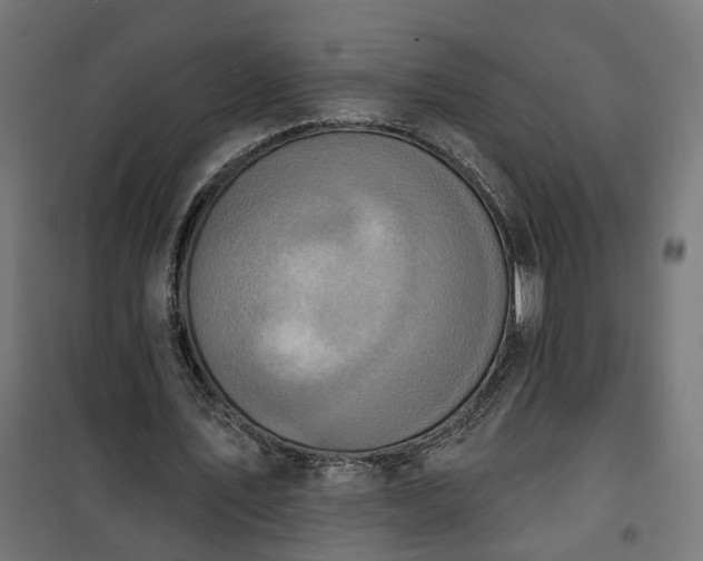 X0000100500579200806201717