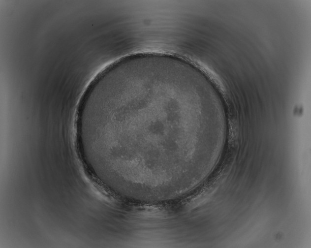 X0000100500580200806201717