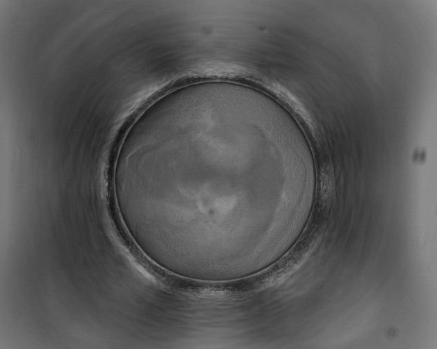 X0000100500581200806201717