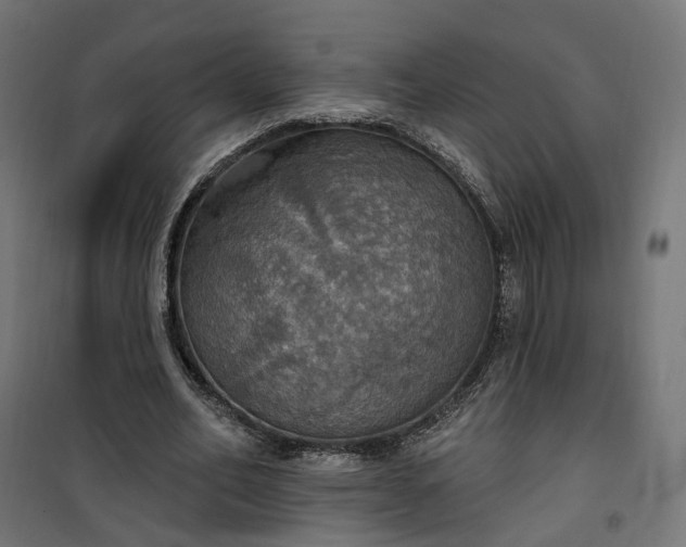 X0000100500582200806201717