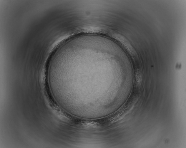 X0000100500583200806201717