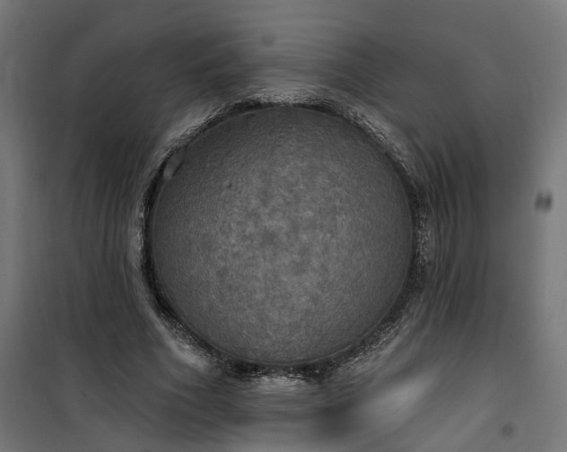 X0000100500586200806201717