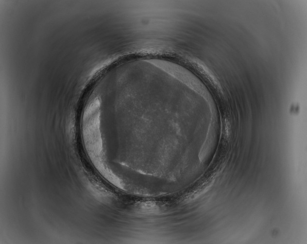 X0000100500588200806201717