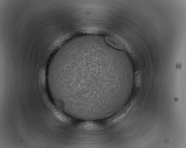 X0000100500589200806201717