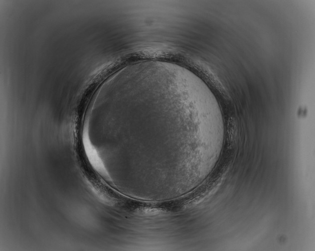 X0000100500590200806201717