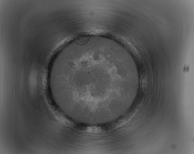 X0000100500591200806201717