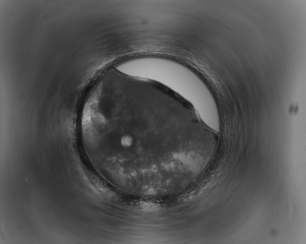 X0000100500592200806201717