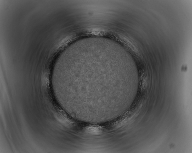 X0000100500595200806201717