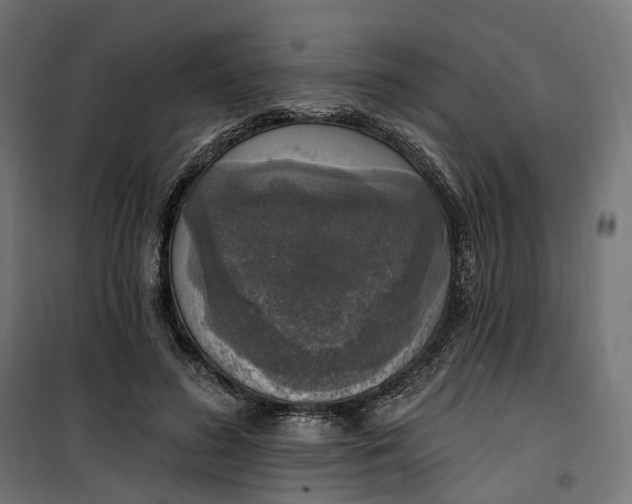 X0000100500596200806201717