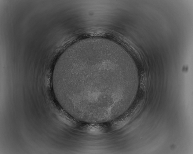 X0000100500604200806201716