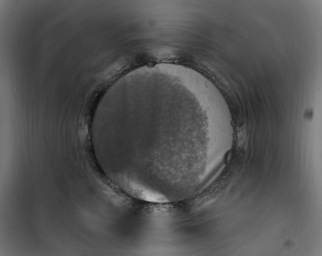 X0000100500618200806201716