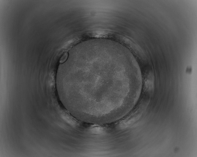 X0000100500620200806201716