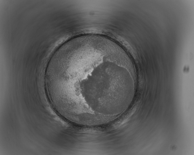 X0000100500625200806201715