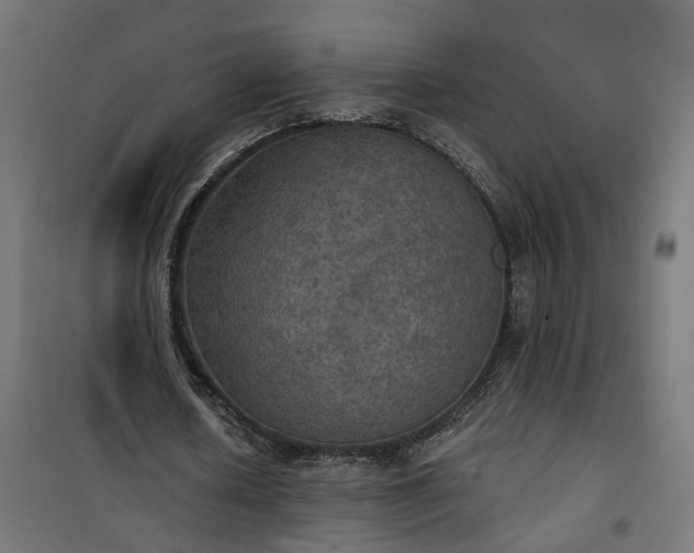 X0000100500626200806201715