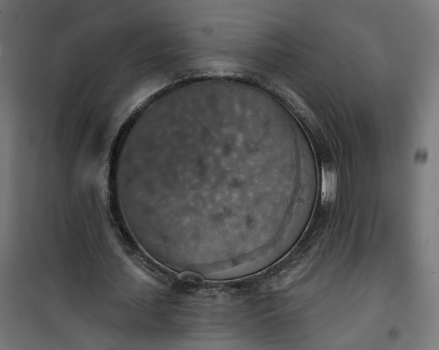 X0000100500627200806201715