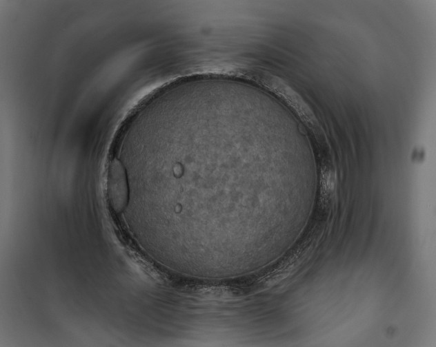 X0000100500628200806201715