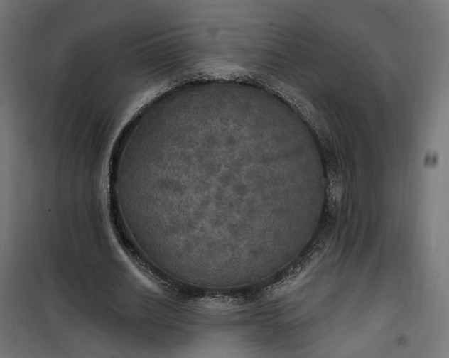 X0000100500630200806201715